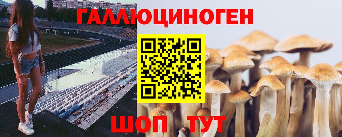 Псилоцибиновые грибы прущие грибы  Вход с VPN  Карпинск 